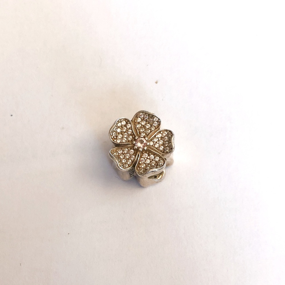 Pandora Charm
